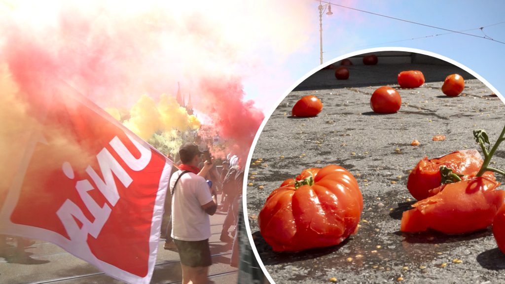 Die Tomatensaison ist eröffnet: Die Region erlebt einen durchaus friedlichen 1. Mai