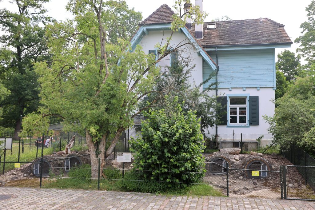 Frühlingsnachwuchs und neue Tierarten im Tierpark Lange Erlen
