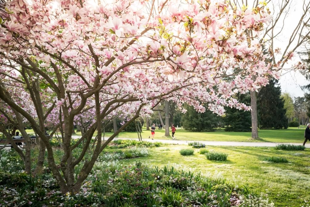 Stadt erhält Schulthess Gartenpreis für den Kannenfeldpark