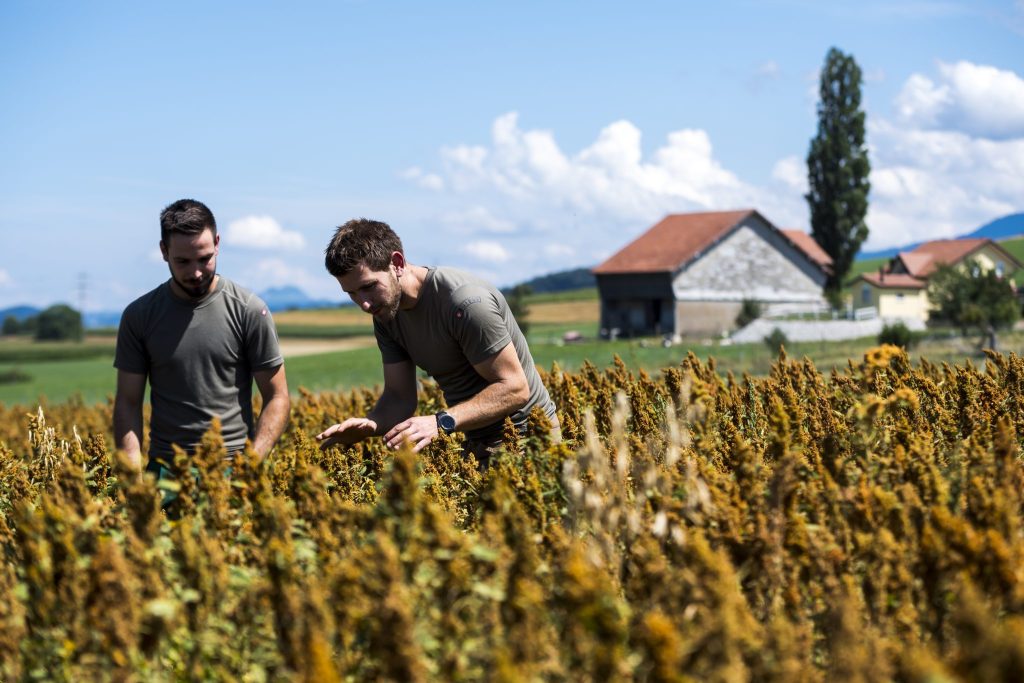 Bauern profitieren kaum vom Trend zur pflanzlichen Ernährung