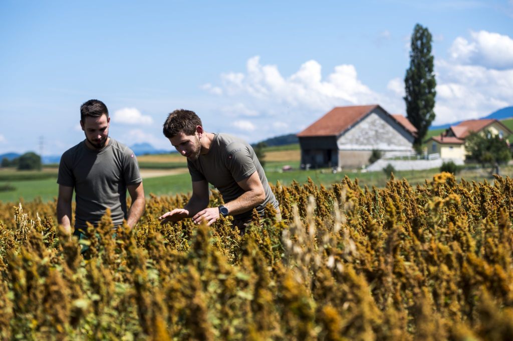 Bauern profitieren kaum vom Trend zur pflanzlichen Ernährung