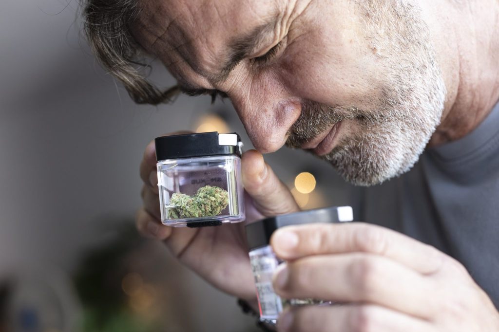 Stadtzürcher Cannabis-Studie sucht 900 weitere Kiffer