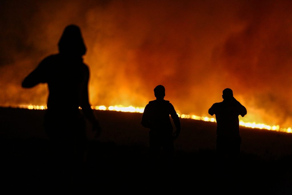 Waldbrände im türkischen Izmir wüten weiter
