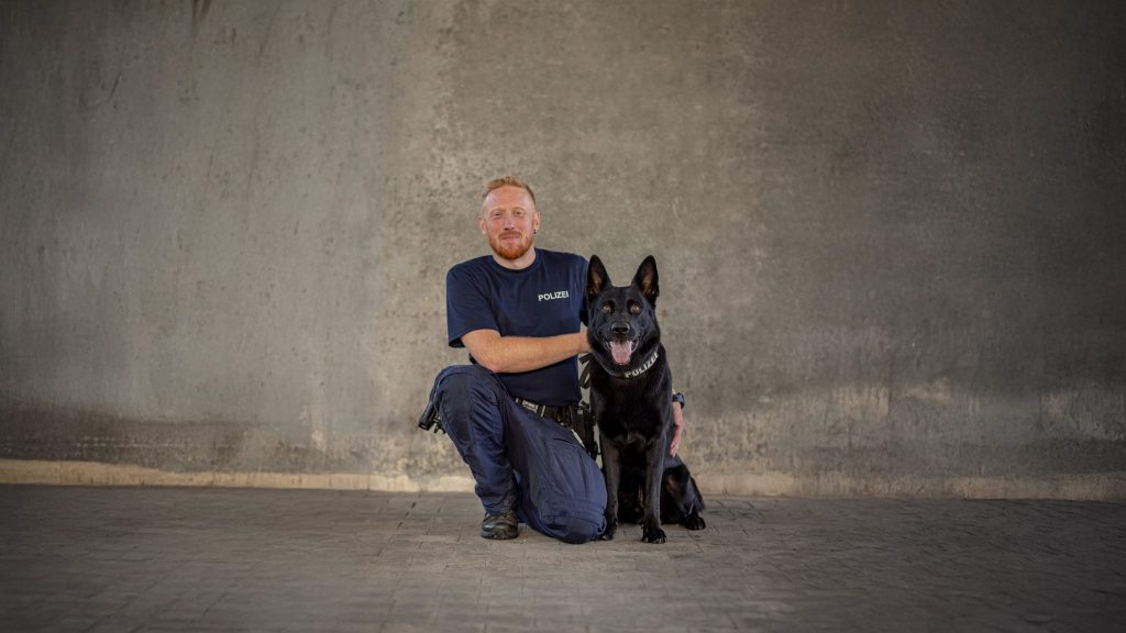 Polizeihund Clay fasst Einbrecher in Therwil