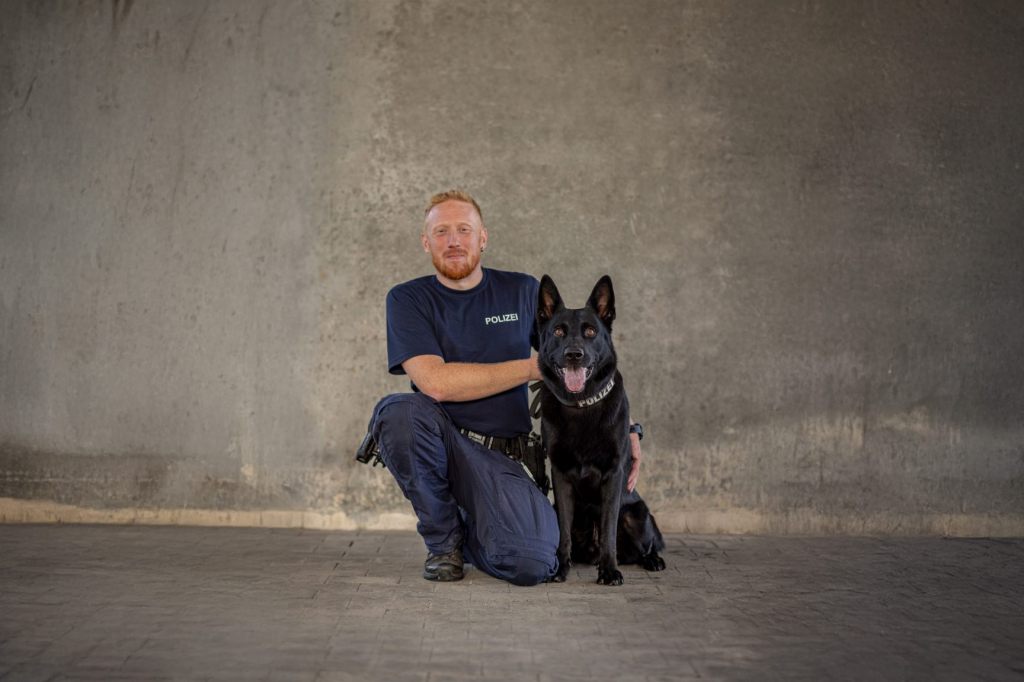 Polizeihund Clay fasst Einbrecher in Therwil