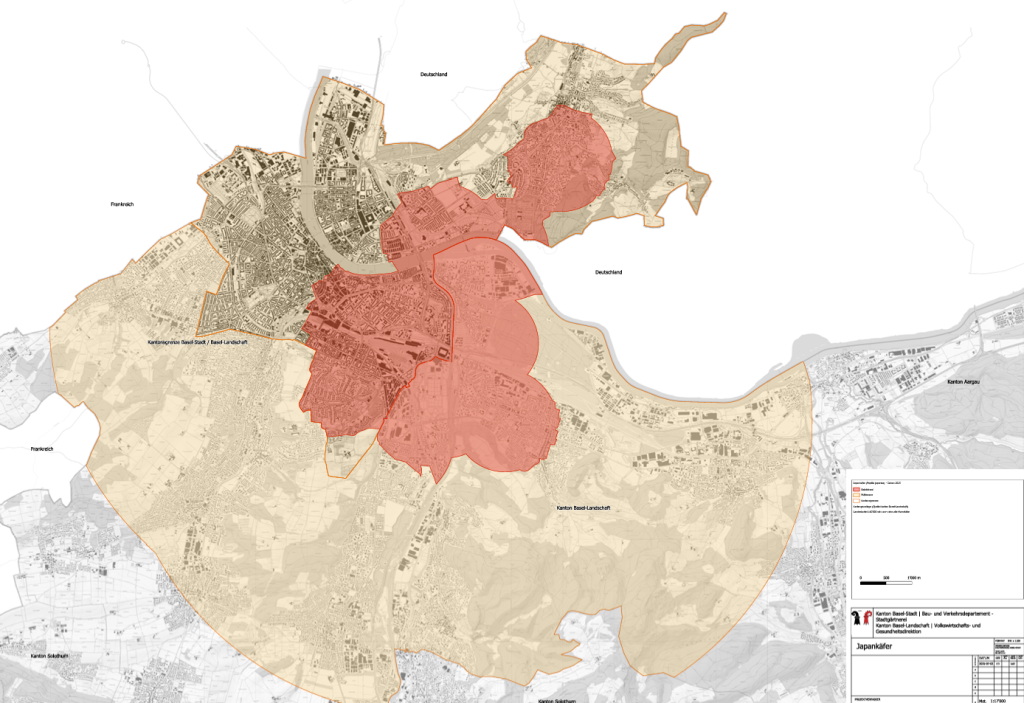 Japankäfer: Befallsherd und Pufferzone in beiden Basel ausgeweitet