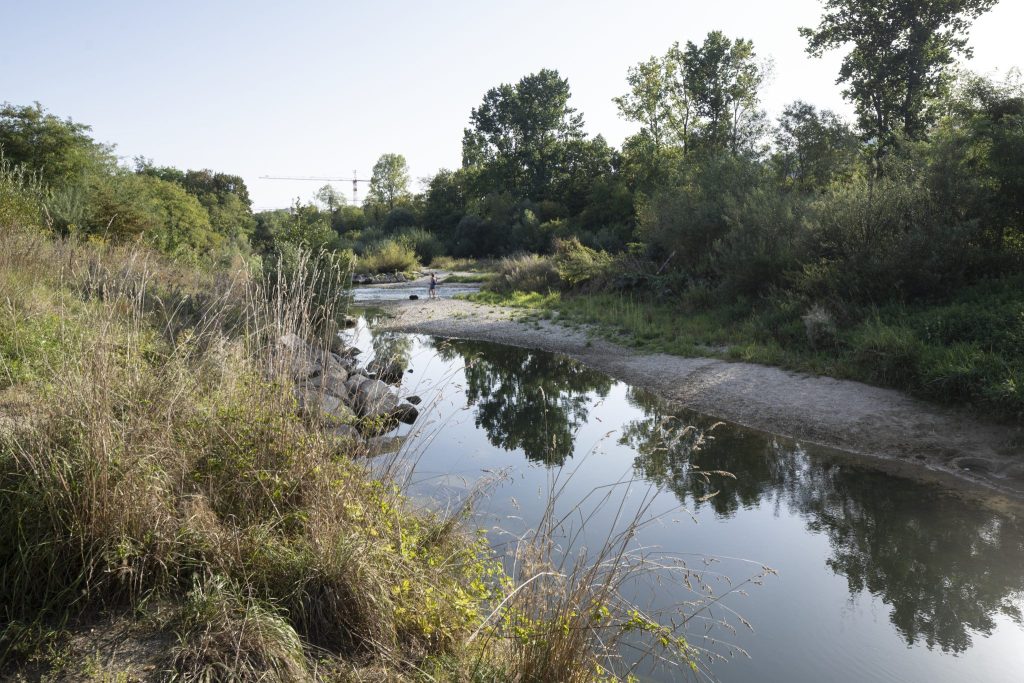 Tieren und Pflanzen in Gewässern geht es nicht gut