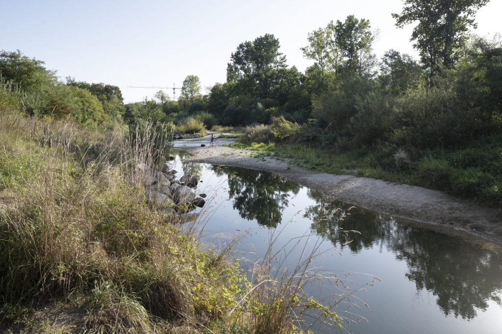 Tieren und Pflanzen in Gewässern geht es nicht gut