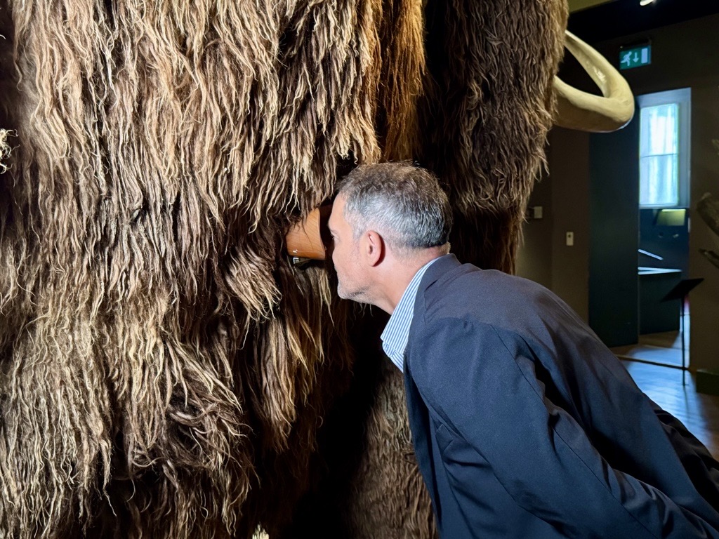 Nur das Mammut kommt nicht mit: Das Naturhistorische Museum packt ein