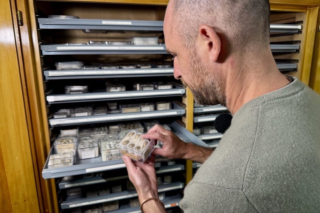 Nur das Mammut kommt nicht mit: Das Naturhistorische Museum packt ein