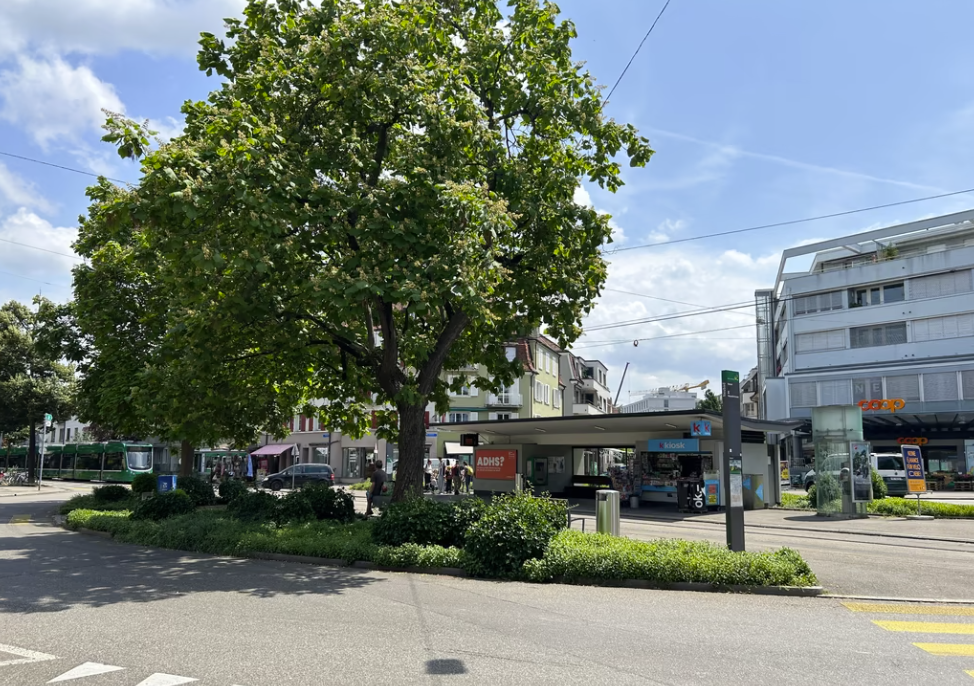 Verkehrseinschränkungen ab Montag: Im Neubad wird gebaut