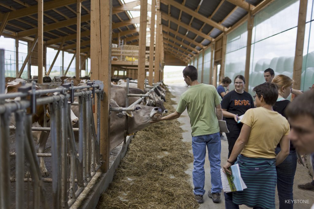 Bauern in der Region zwischen Tradition und Wandel