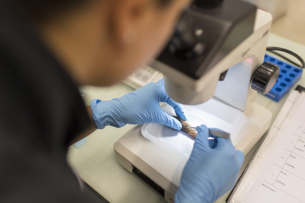 EU fördert 35 Nachwuchsforschende in der Schweiz, darunter sieben aus Basel