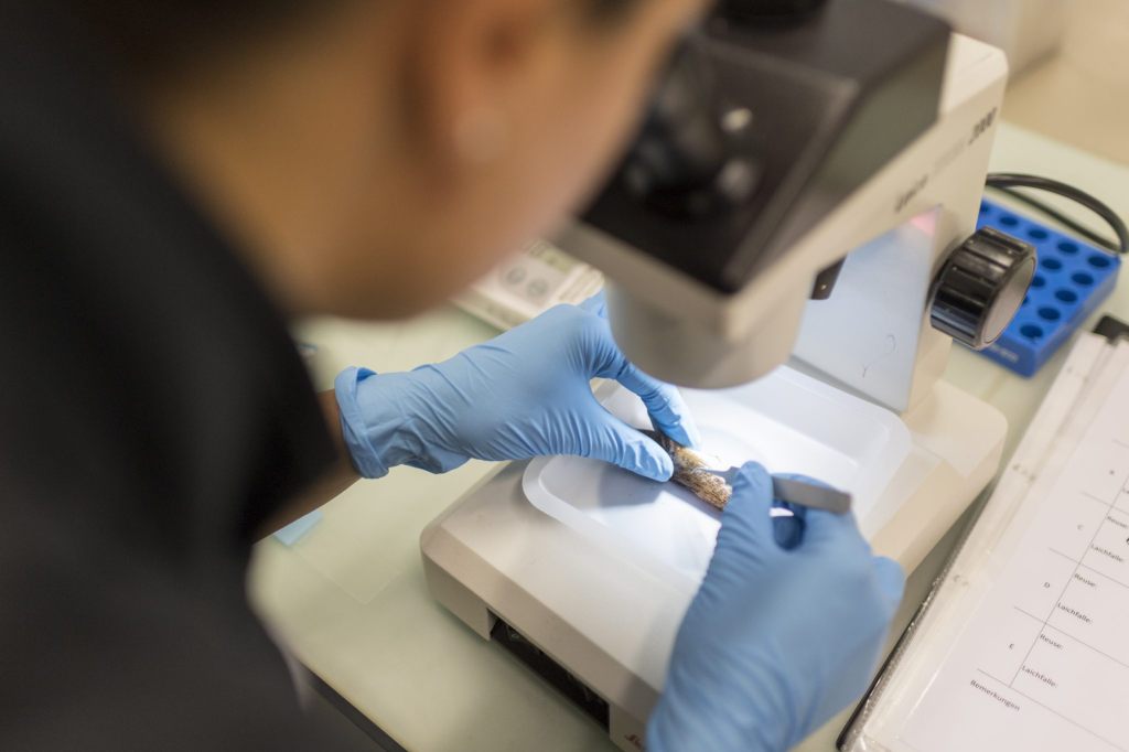 EU fördert 35 Nachwuchsforschende in der Schweiz, darunter sieben aus Basel