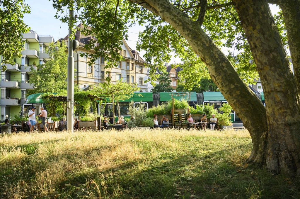 Kanton Basel-Stadt soll private Begrünungsmassnahmen fördern