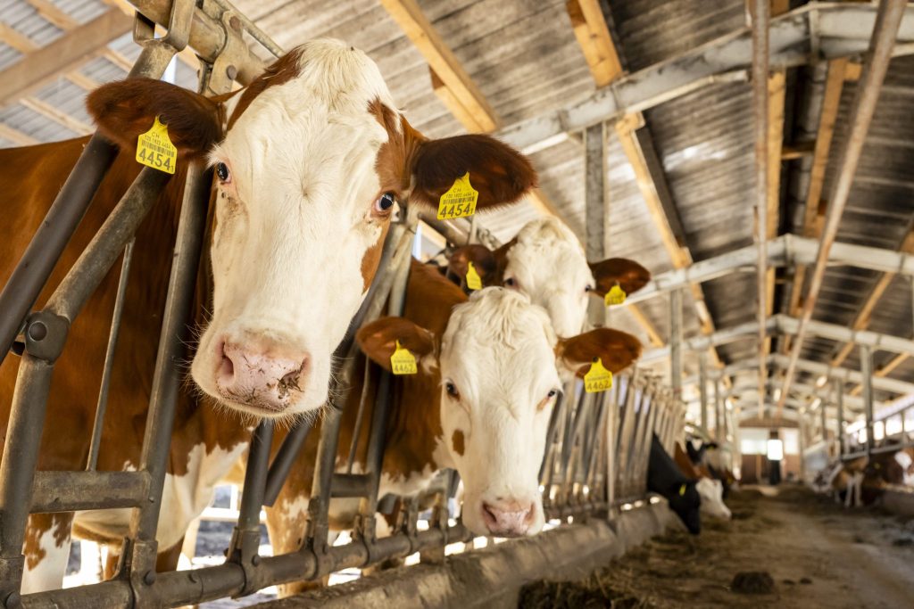 Bund will Kontrollen in der Landwirtschaft abbauen