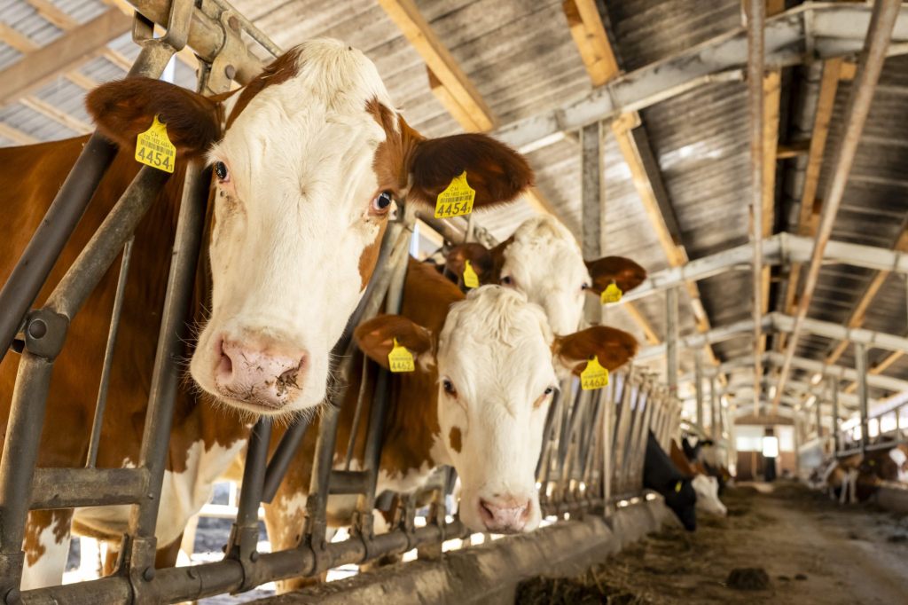 Bund will Kontrollen in der Landwirtschaft abbauen
