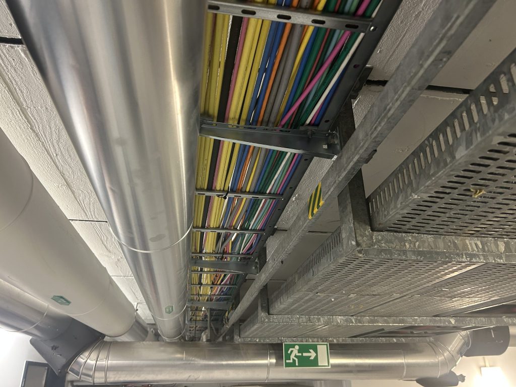 Roche pocht auf Abriss von Bau 52: «Wir müssen uns hier weiterentwickeln können»