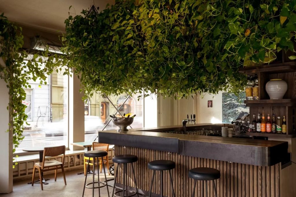 «Der Basler Clubszene geht's beschissen»: Betreiber äussert sich zu Schliessung des Rouine