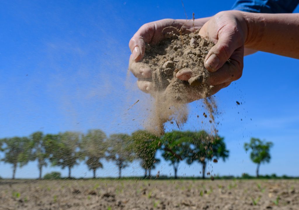 Intakte Böden als Schlüssel zum Klimaschutz
