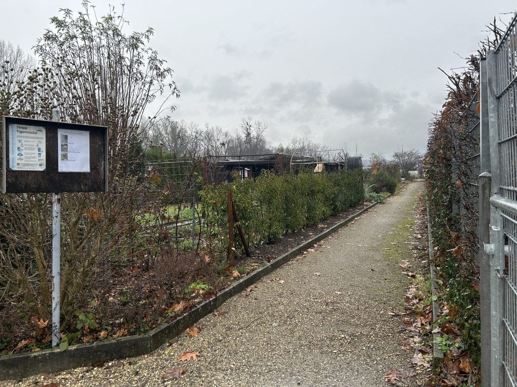 Keller-Einbrüche verunsichern Anwohner im Hirzbrunnen-Quartier