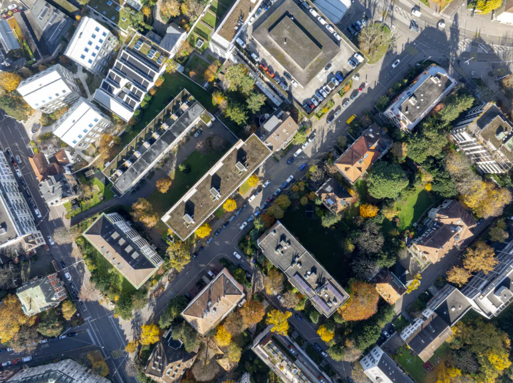 32 neue Bäume für Stadtklima: Sevogelstrasse soll grüner werden