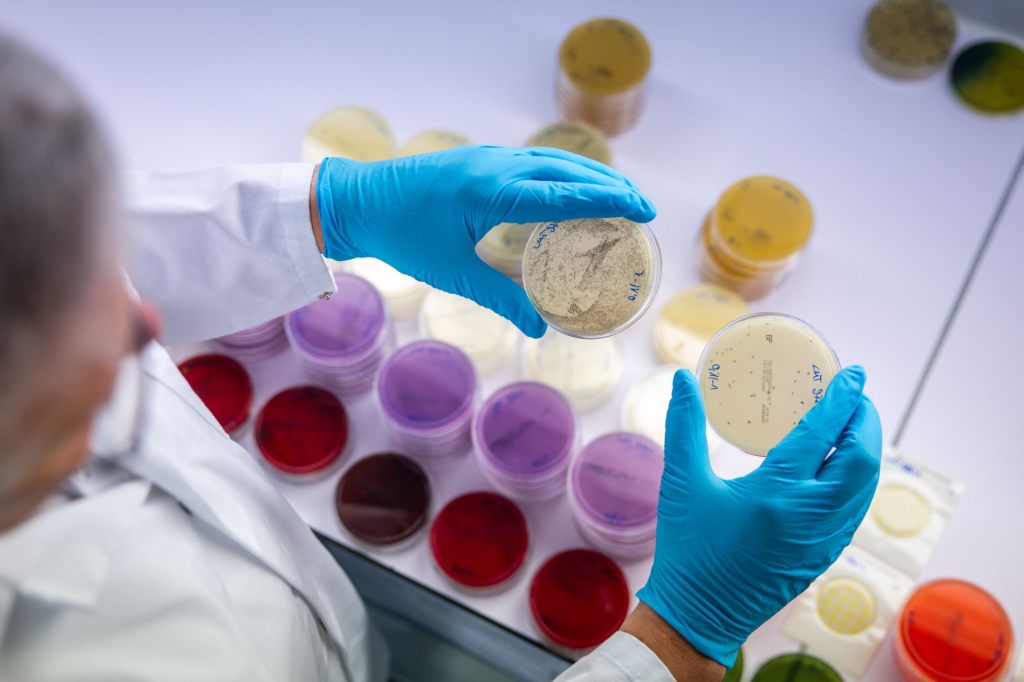 Bund vergibt künftig weniger aber höhere Exzellenz-Stipendien