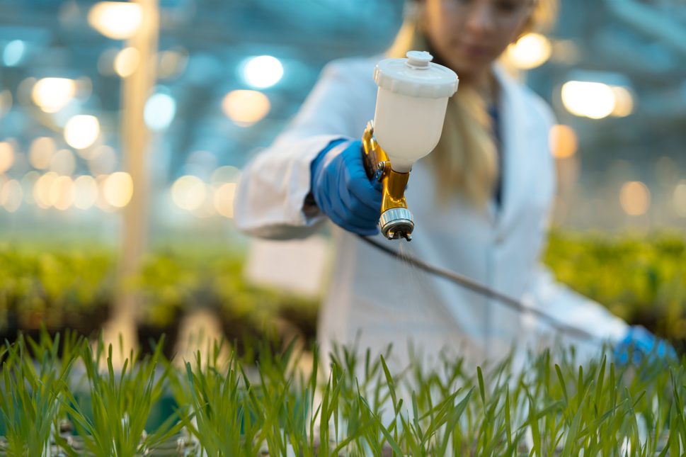 Nationalrat will Regeln für EU-Pflanzenschutzmittel lockern