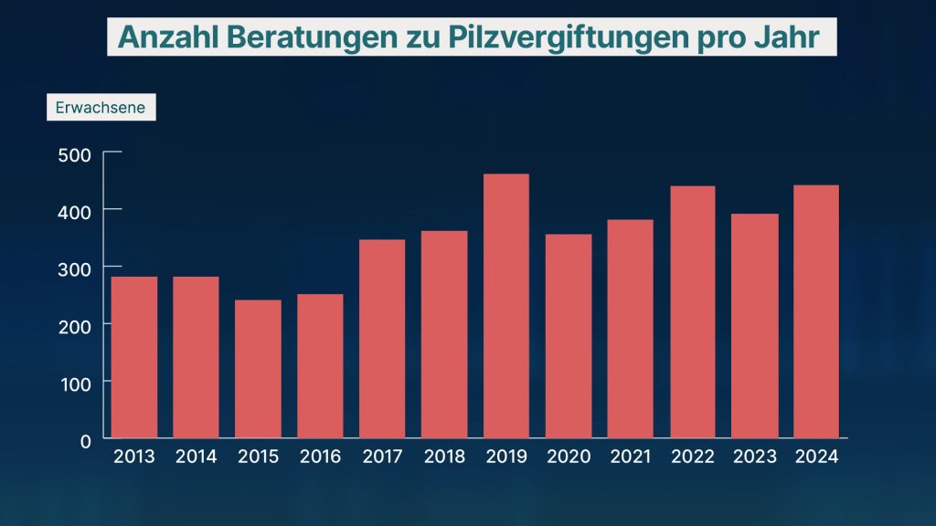 Kantonslabor kontrolliert 468 Kilo Pilze – und findet 30 Gramm tödliche