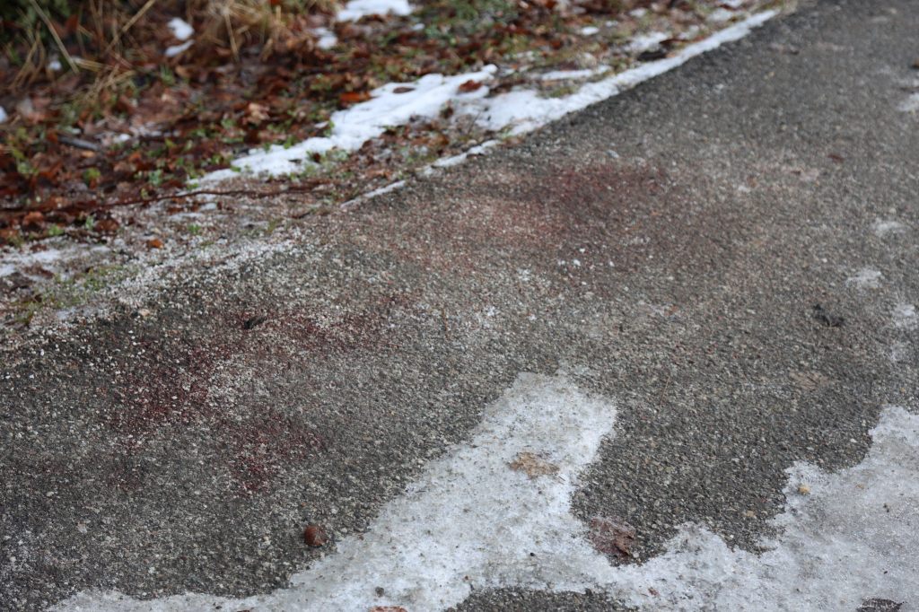 Menschliche Blutspuren in Seewen wecken böse Erinnerungen