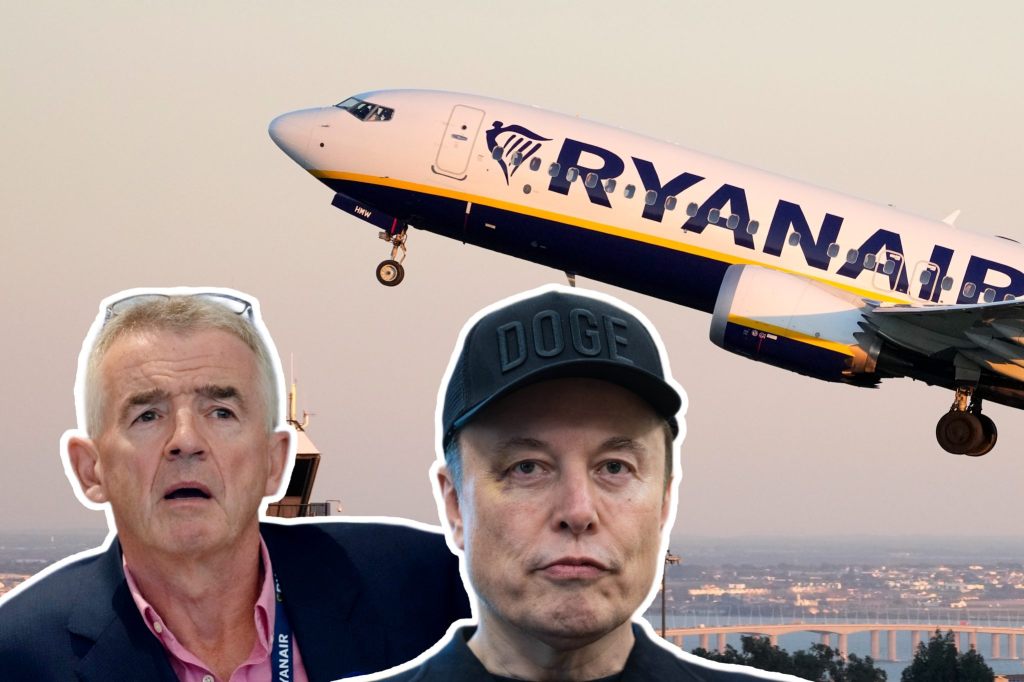 Musk lässt bei X über Kauf von Ryanair abstimmen