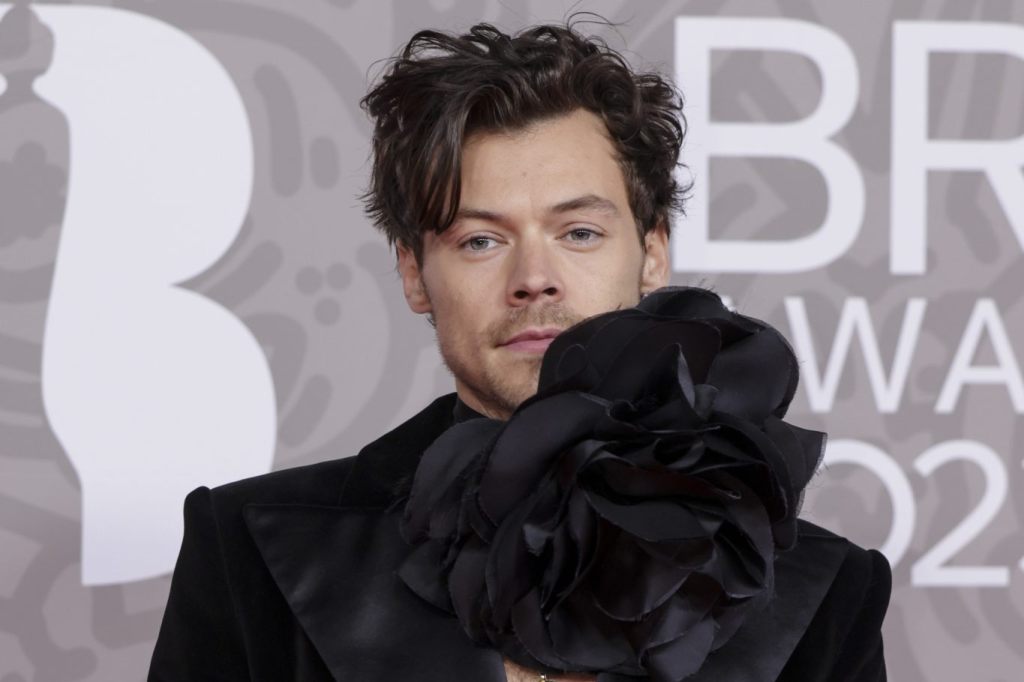 Harry Styles plant 2026 eine Welttournee