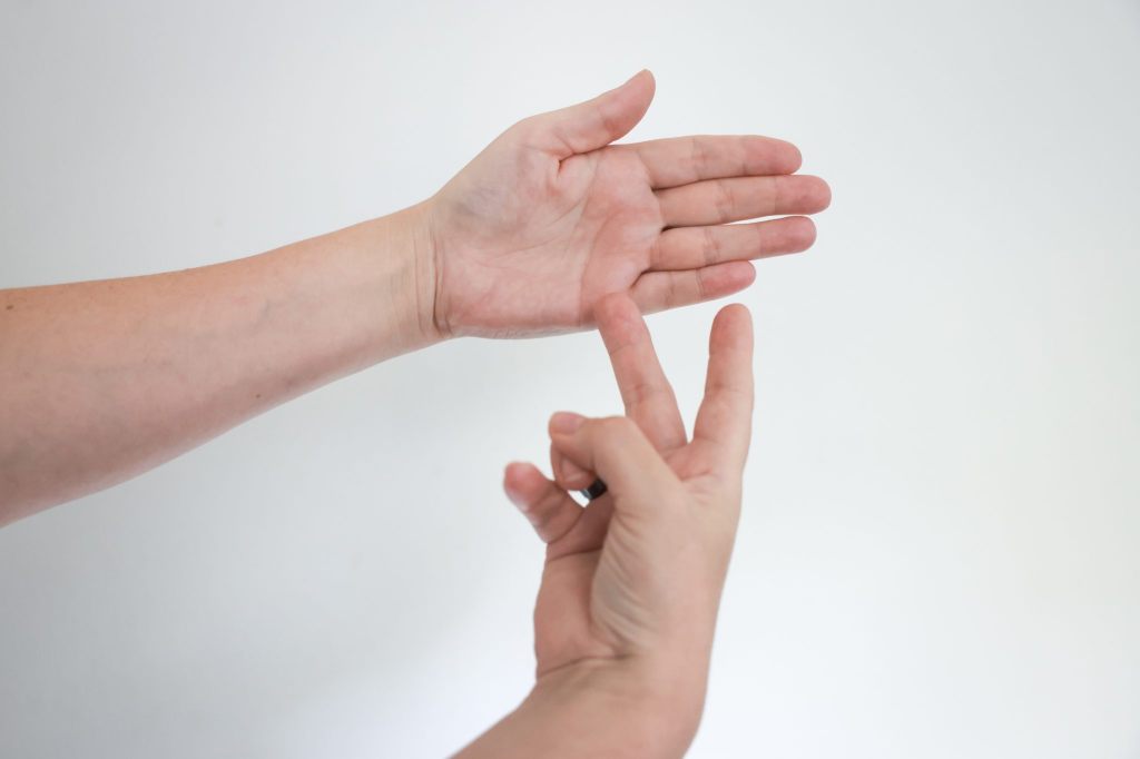 Nationalratskommission will Gebärdensprachen anerkennen lassen