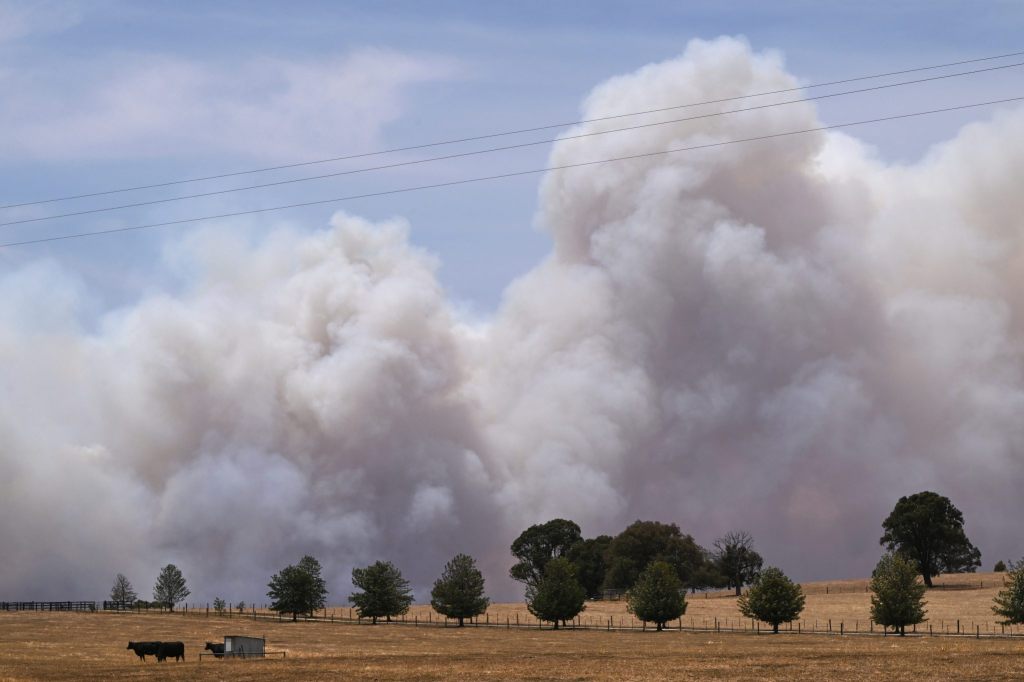 Fast 50 Grad: Extreme Hitze und Buschbrände in Australien