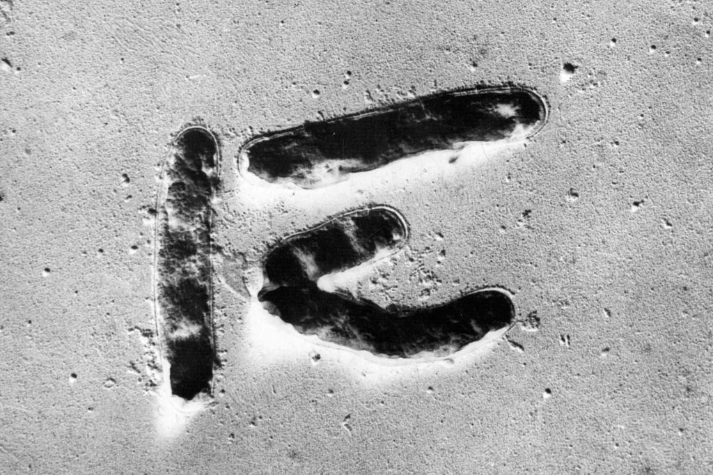 Neuer Antibiotika-Test aus Basel macht «aussitzende» Keime sichtbar