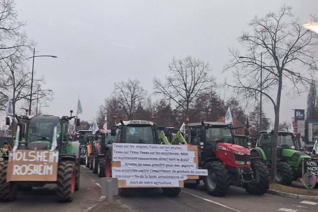 Tausende Bauern protestieren vor EU-Parlament gegen Mercosur-Deal