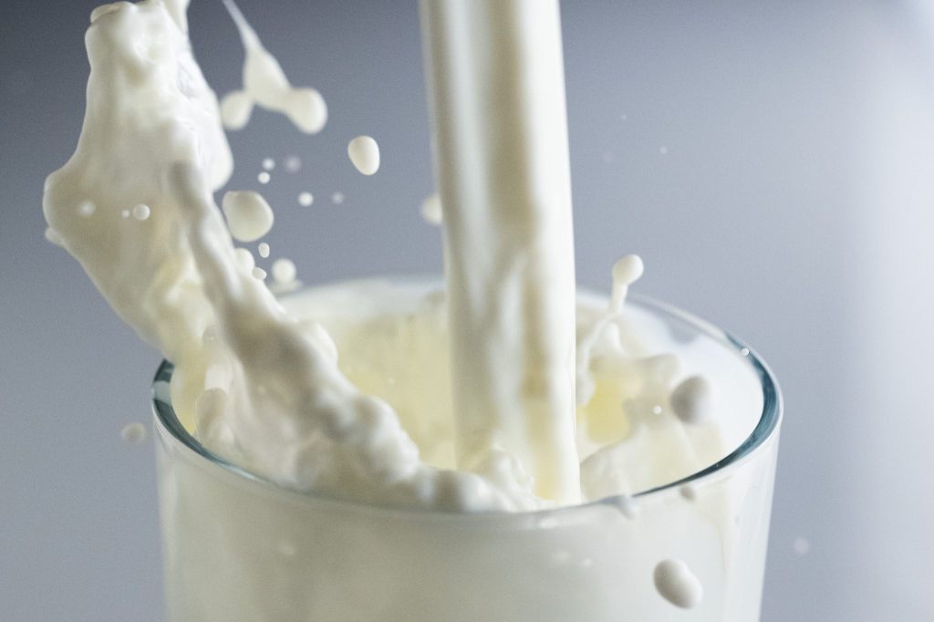 43 Prozent der in der Schweiz verkauften Milch ist Bio